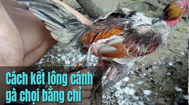 Hướng dẫn cách kết lông cánh gà cho· chi tiết nhất