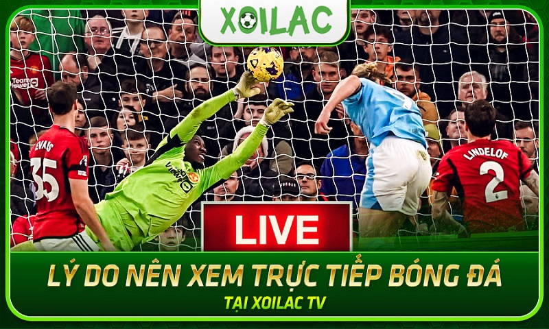 Tại sao nên xem trực tiếp bóng đá trên Xoilac.tv?