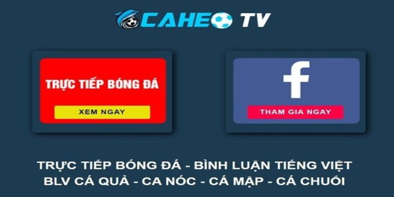 Cung cấp link xem bong da tuyệt vời