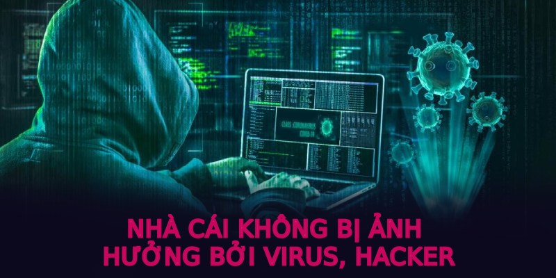 Nhà cái không bị ảnh hưởng bởi virus, hacker