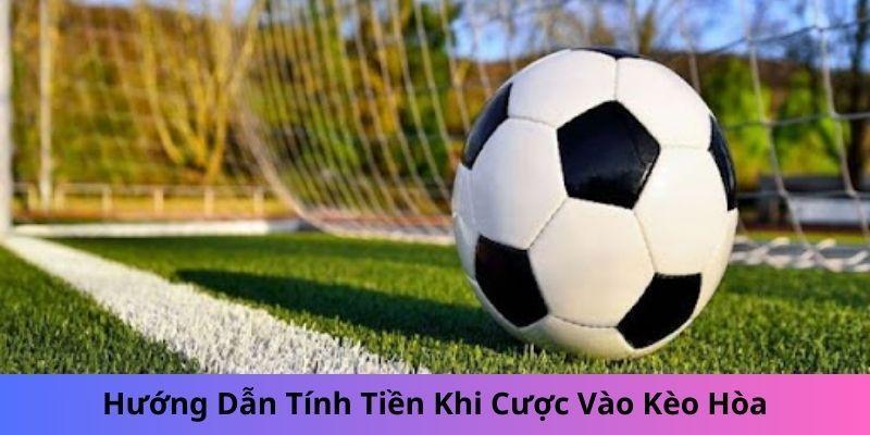 Hướng dẫn tính tiền khi cược vào kèo hòa