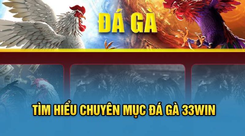 Đá gà trực tuyến 33Win – Trải nghiệm đá gà đỉnh cao hôm nay