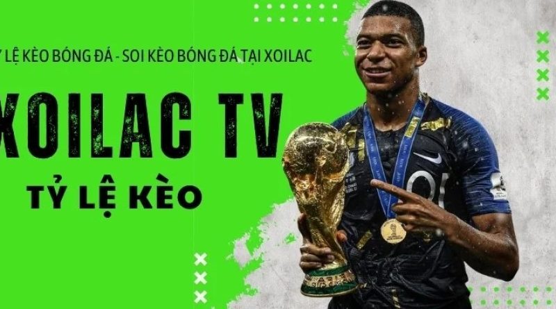 Hiểu Rõ Tỷ Lệ Kèo – Bí Quyết Dành Cho Người Mới Cá Cược